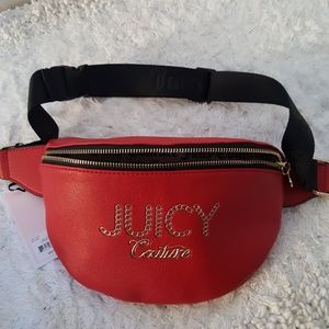 Sold! Juicy Couture | belt bag